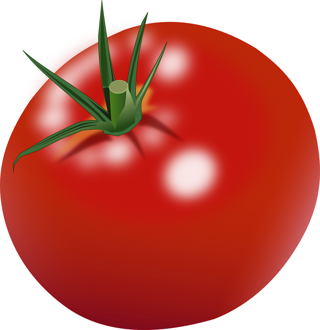 tomato ripe red free photo