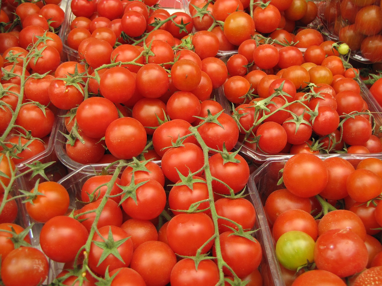 tomato food vegetable free photo