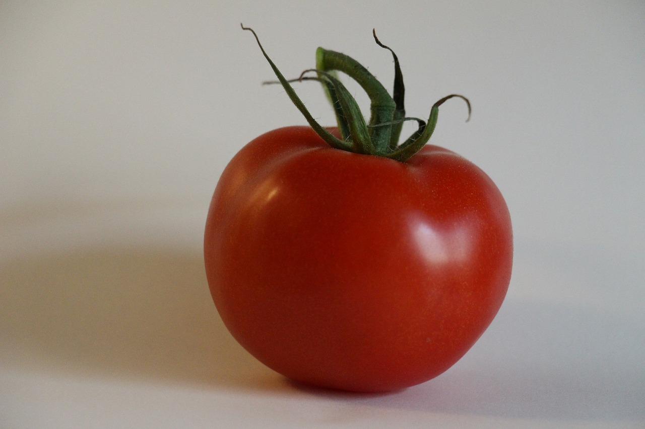 tomato vegetables red free photo