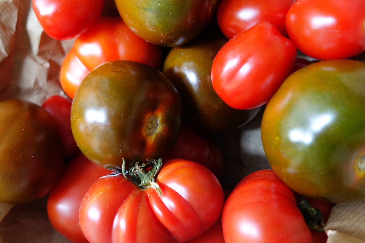 tomato tomatoes food free photo