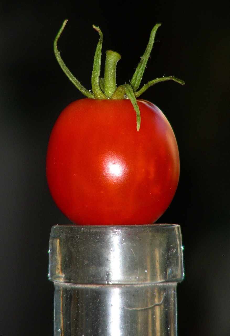 tomato fruit vegetables free photo