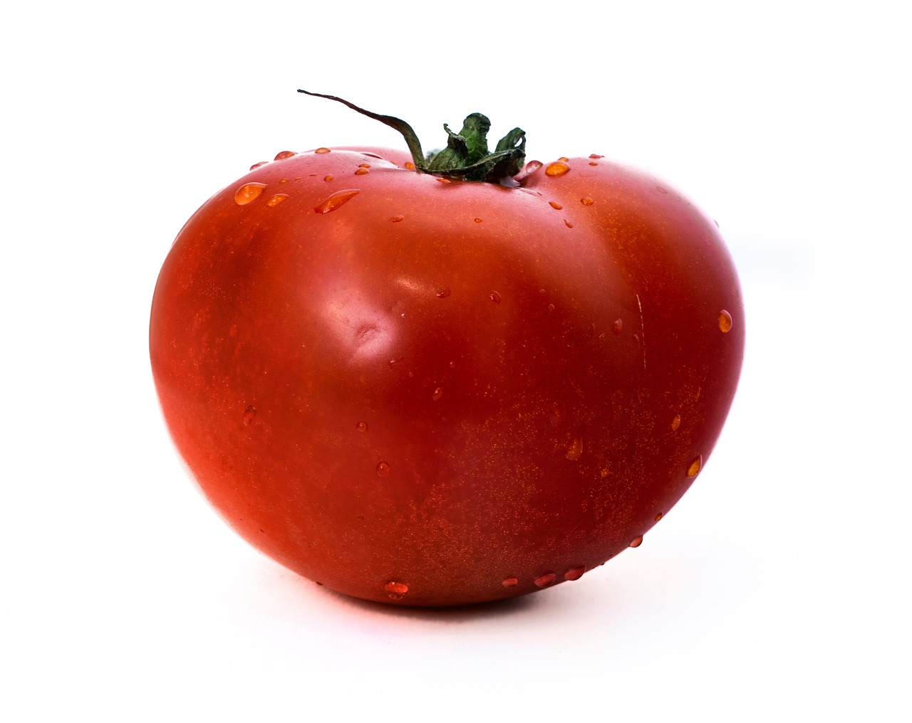 tomato  on a white background  tomatoes free photo