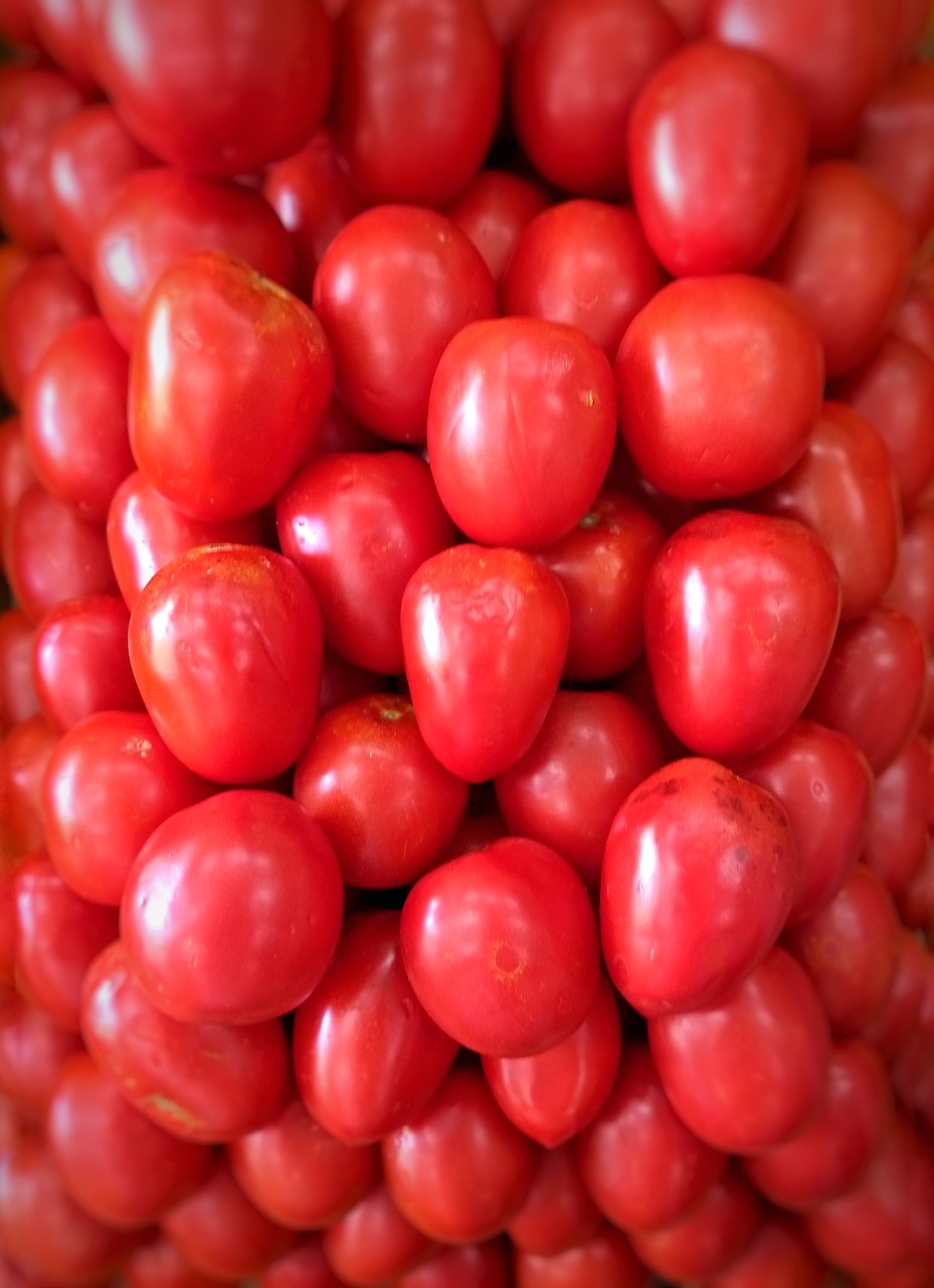 tomato  vegetable  ecological free photo