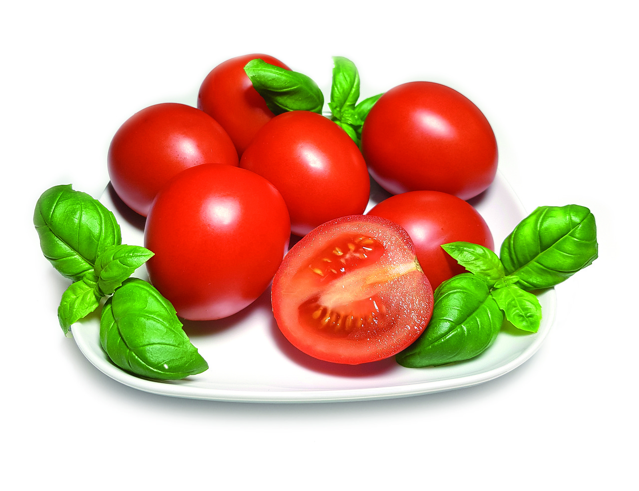 tomato  red  basil free photo