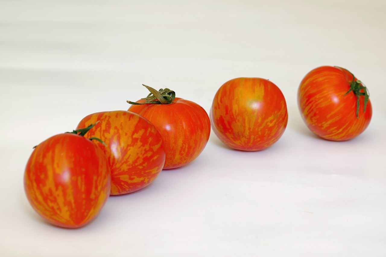 tomato  tigeralla  fruit free photo