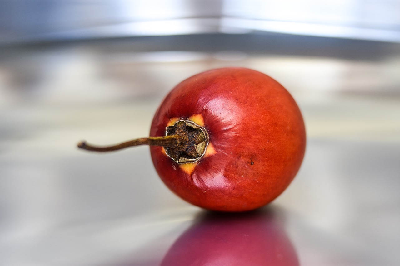 tomato  fruit  healthy free photo