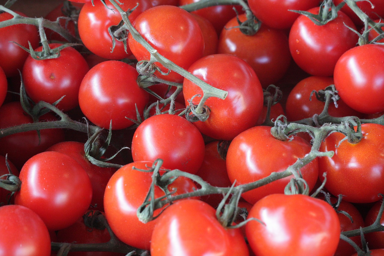 tomato  cook  life free photo