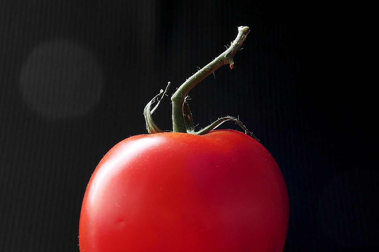 tomato  vegetables  food free photo