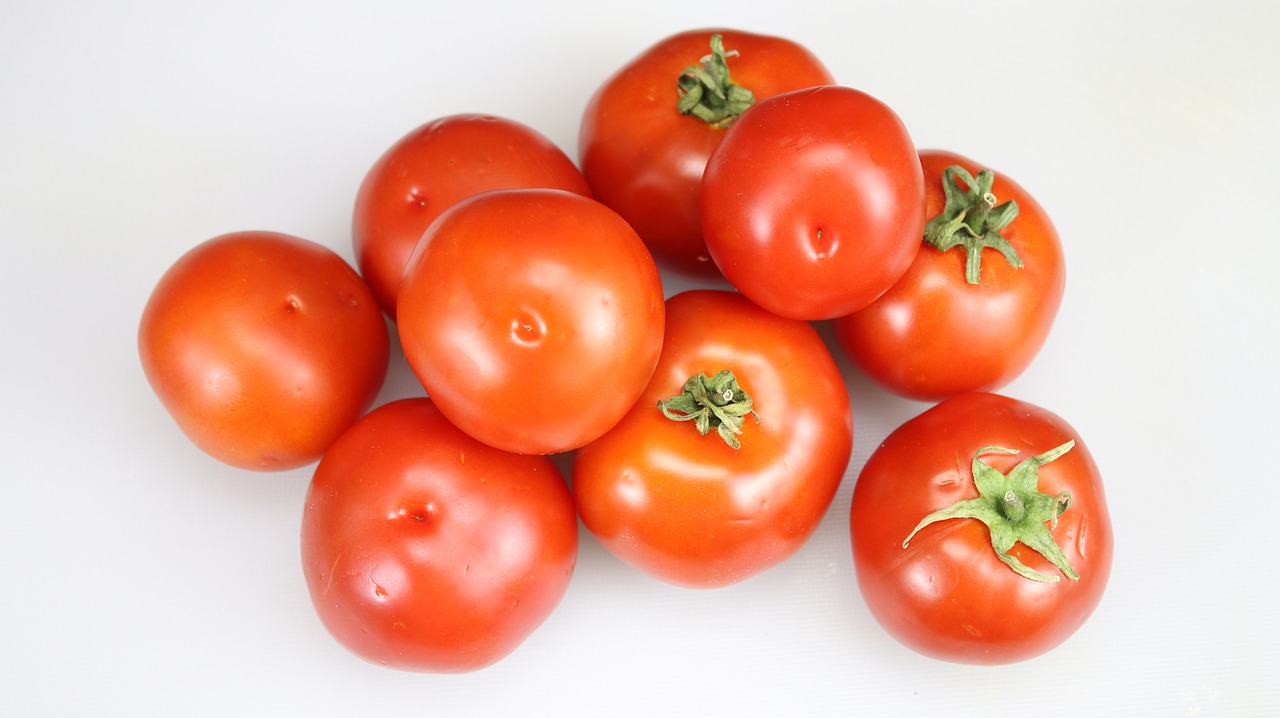 tomato  vegetable  fresh tomato free photo