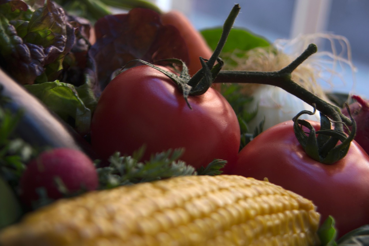 tomato  corn  eggplant free photo