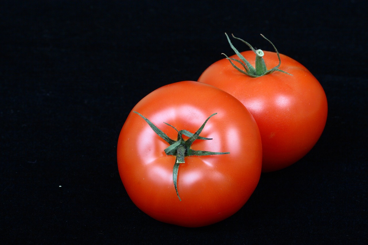 tomato vegetable red free photo