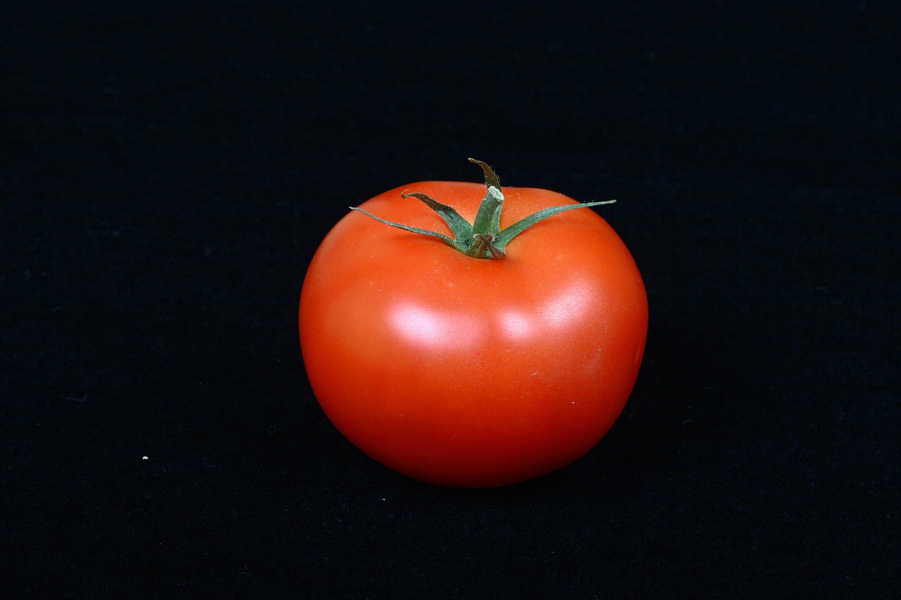 tomato vegetable red free photo