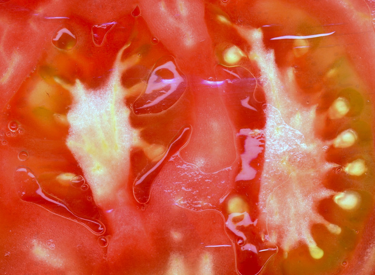 tomato food healthy free photo