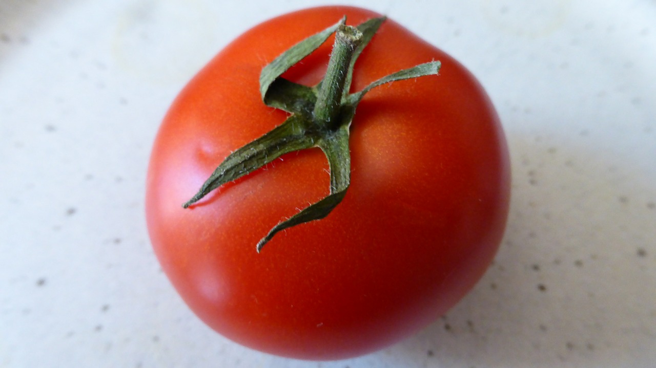 tomato red food free photo