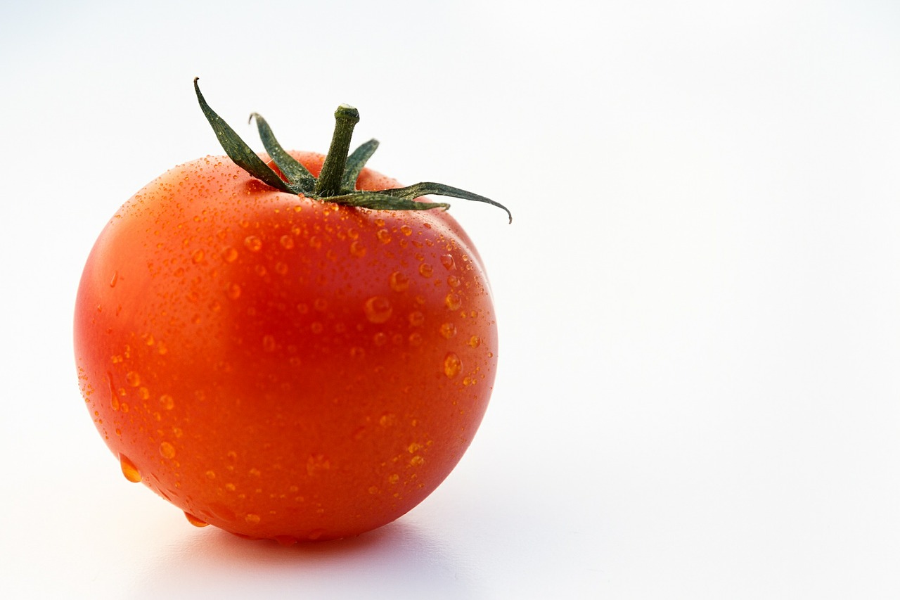 tomato fruity vegetables free photo