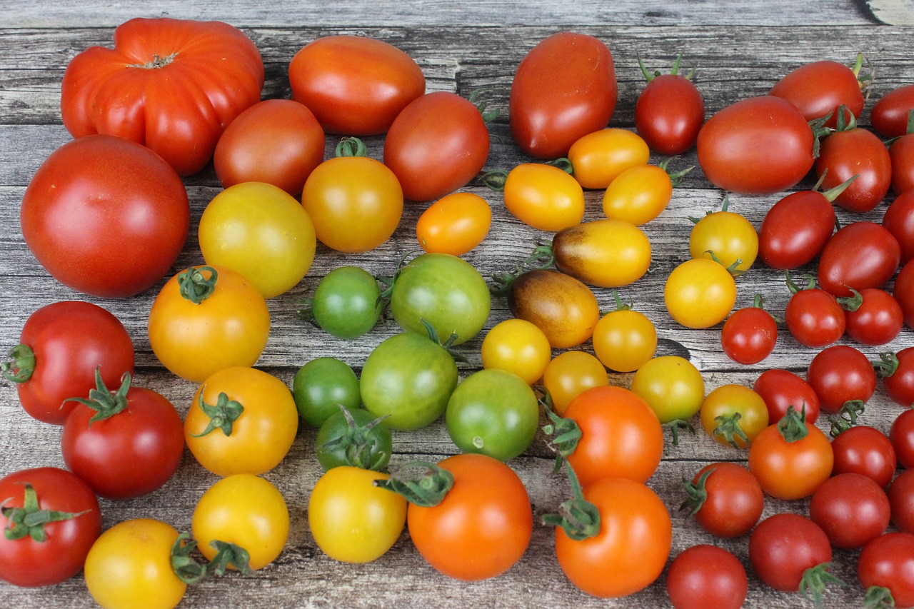 tomato  tomatoes  diversity free photo