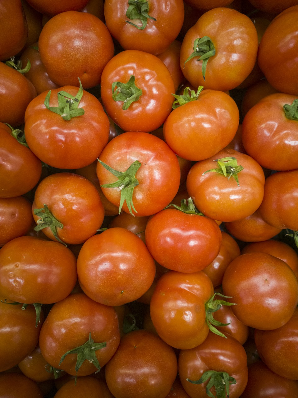 tomato  beautiful  food free photo