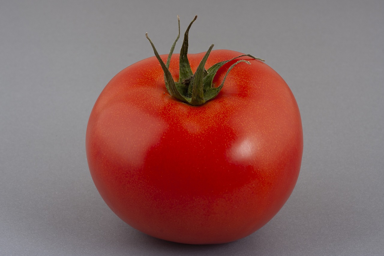 tomato  red  fruit free photo