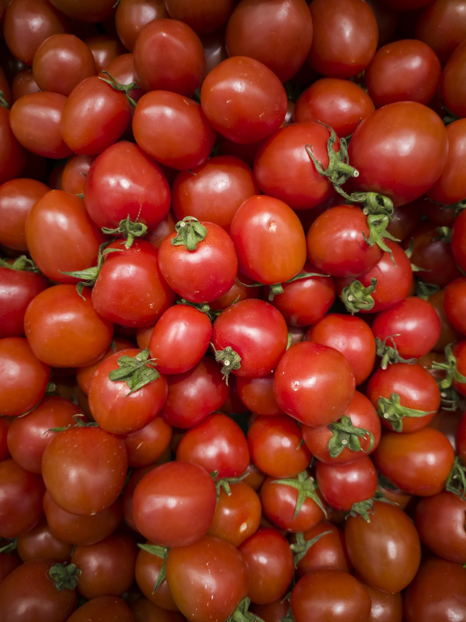 tomato  red  fruit free photo