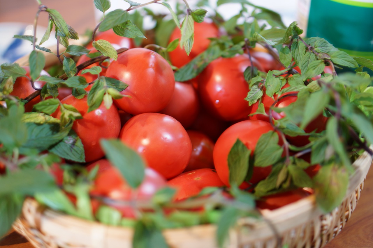 tomato  food  vegetables free photo