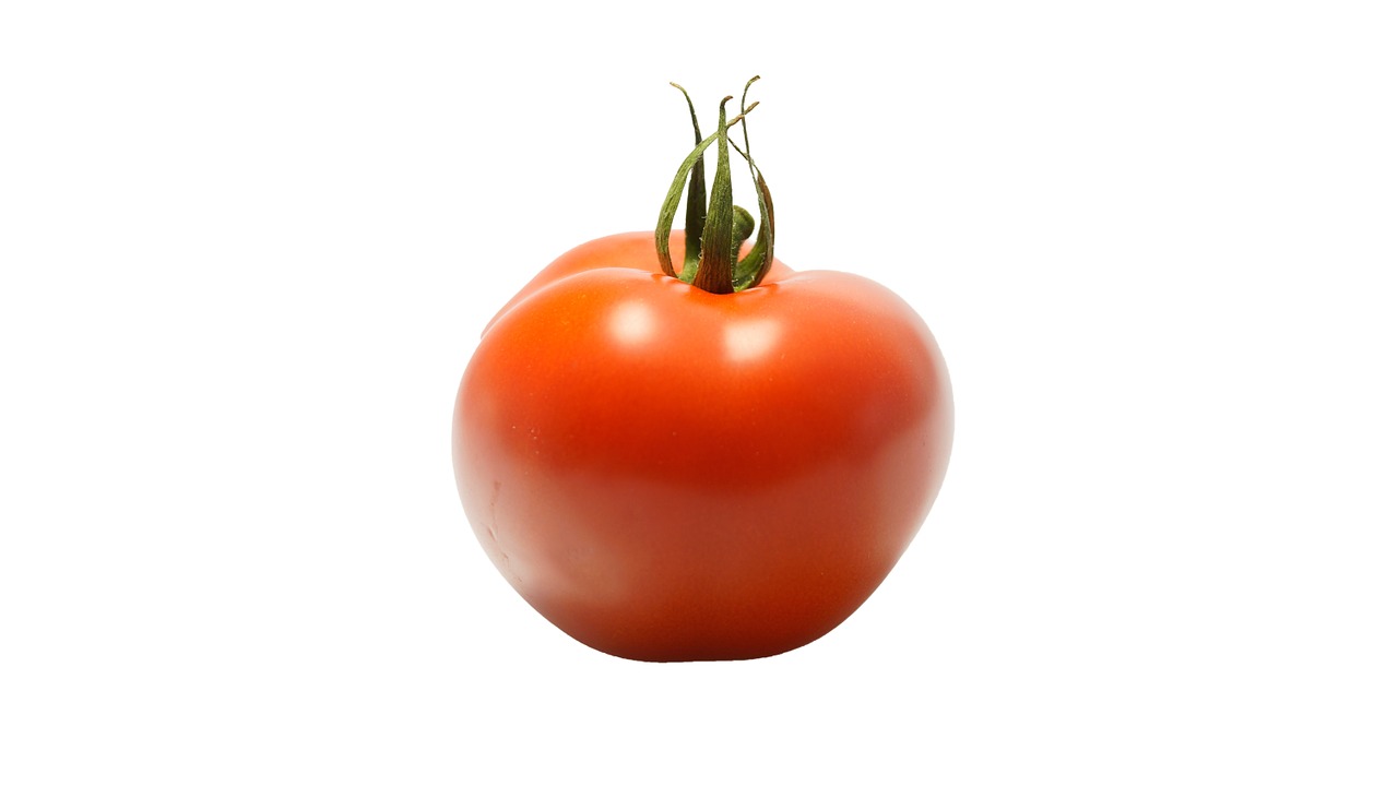 tomato vegetable red free photo