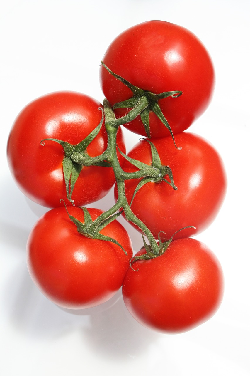 tomato bunch mature free photo