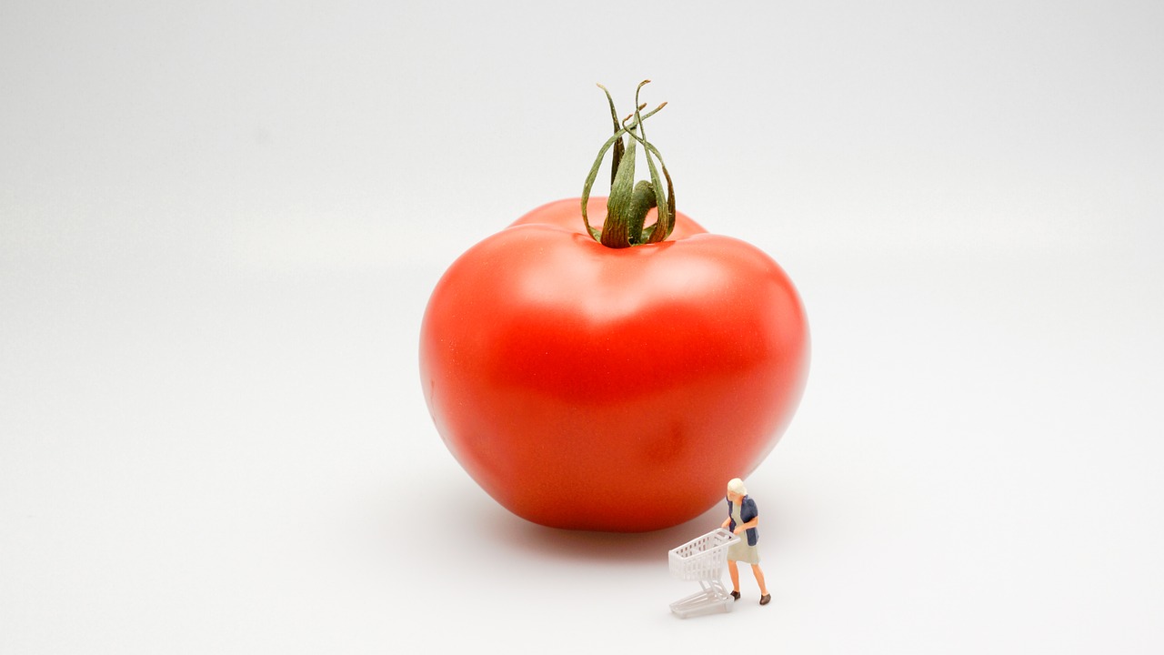 tomato food vegetable free photo