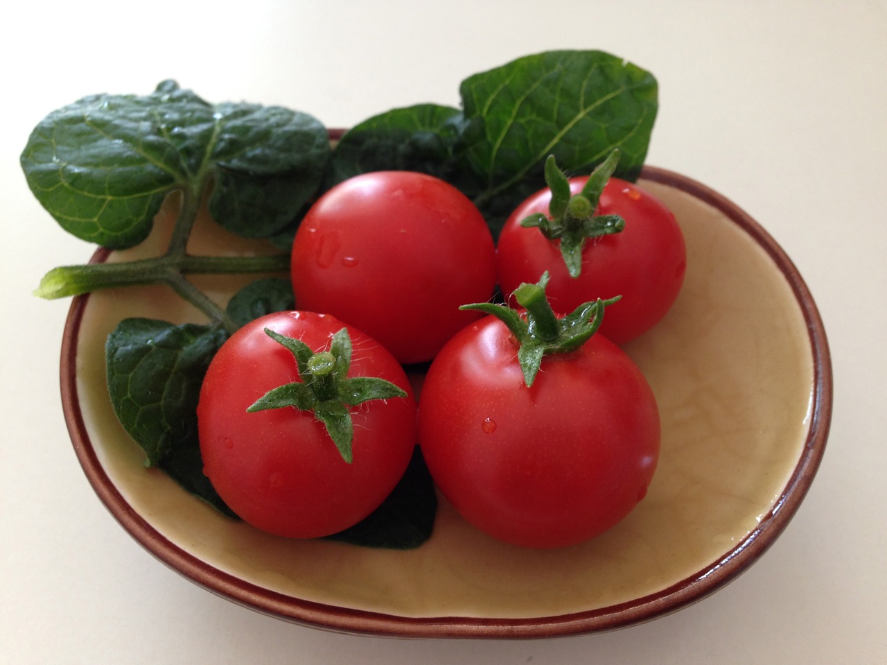 tomato small tomato vegetable free photo