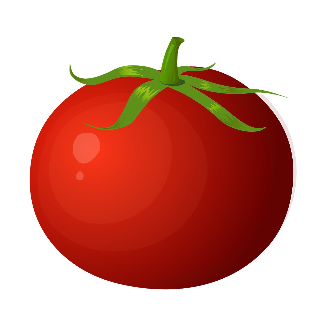 tomato red fruits free photo