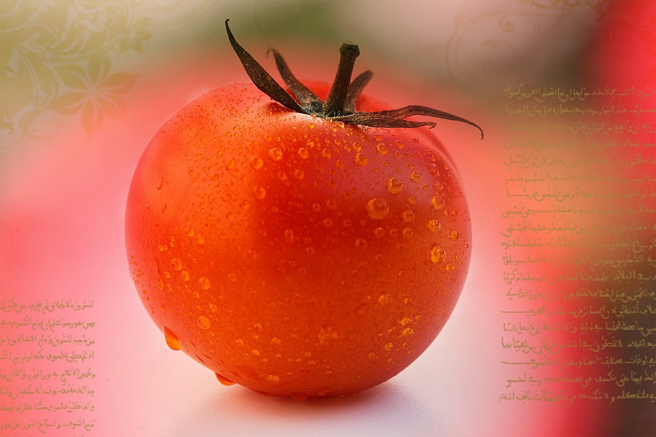 tomato wet red free photo