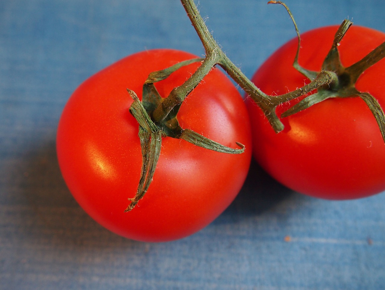 tomato fruit red free photo