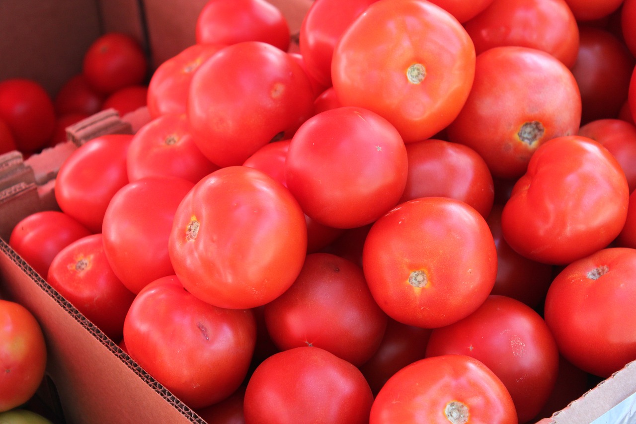 tomato vegetables fruit free photo