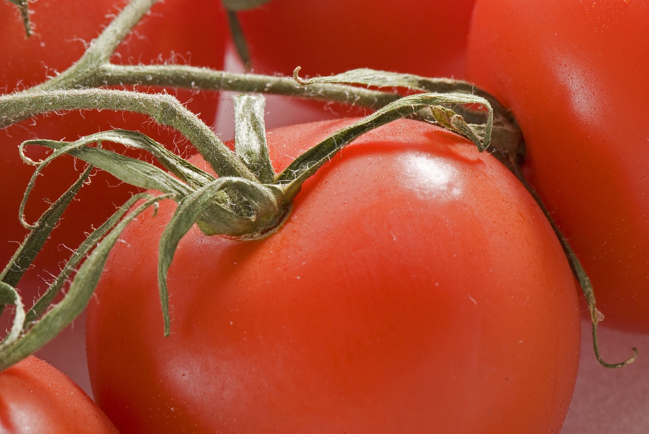 tomato food vegetable free photo