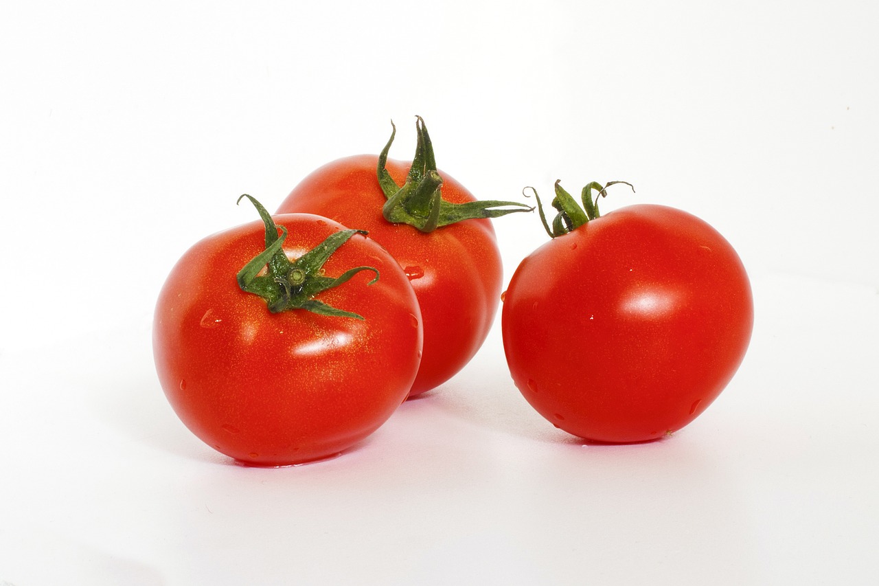 tomato red tasty free photo