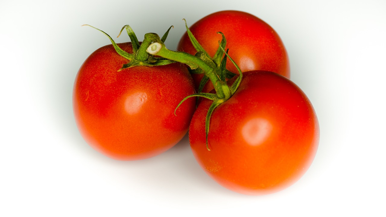 tomato tomatoes vegetable free photo