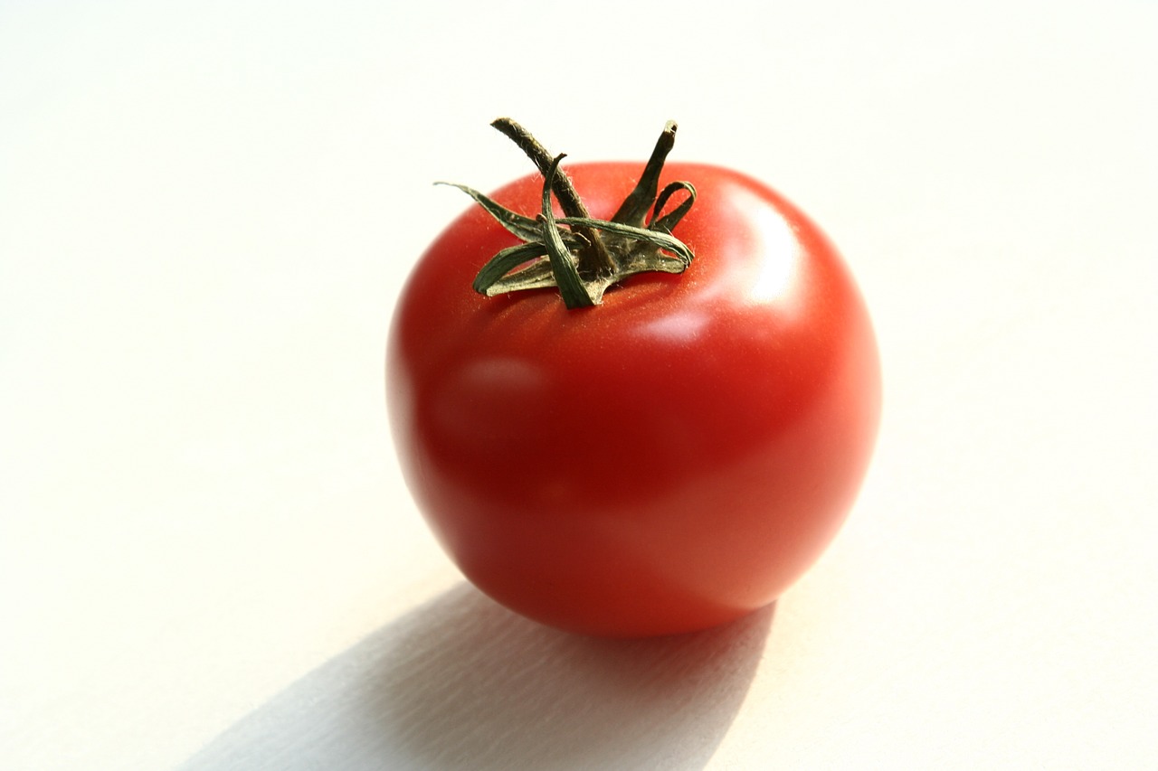 tomato red vegetables free photo