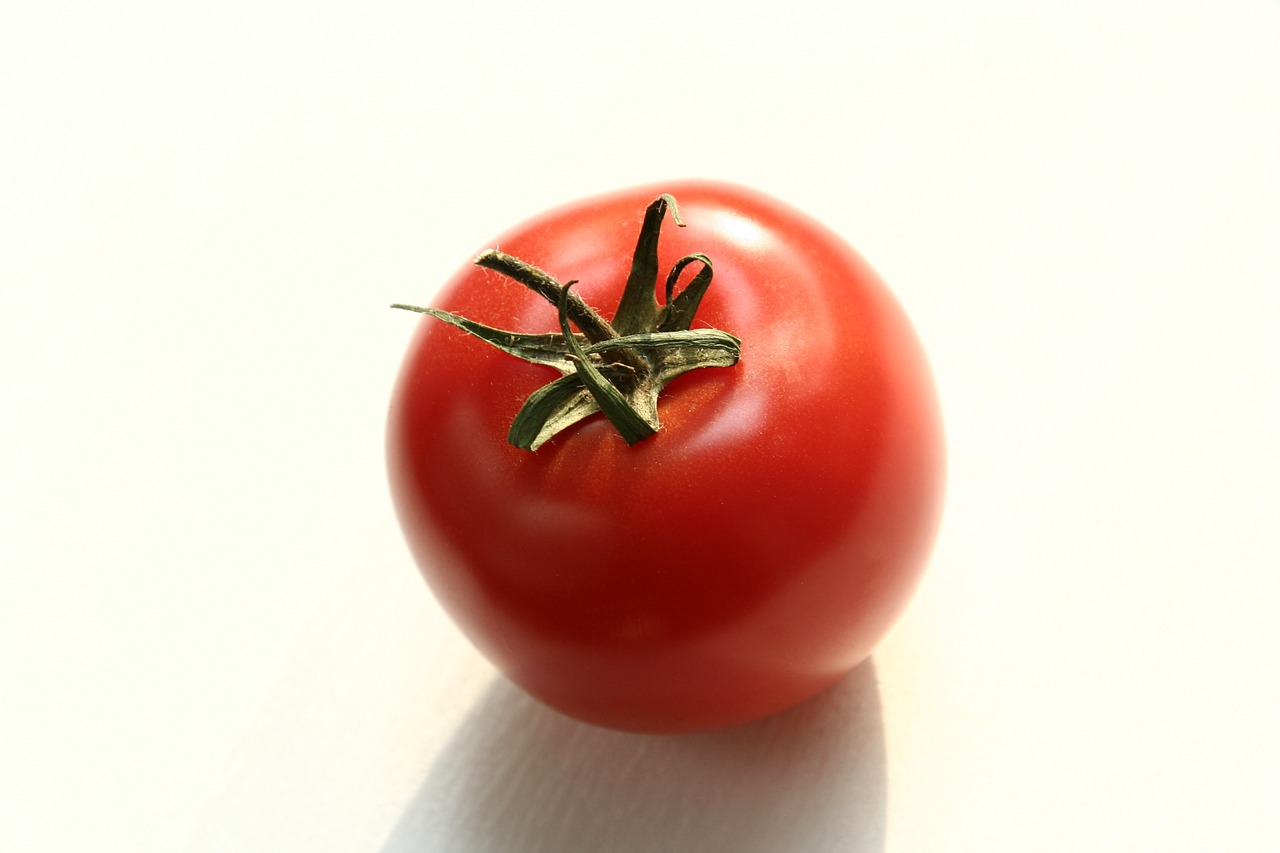 tomato red vegetables free photo