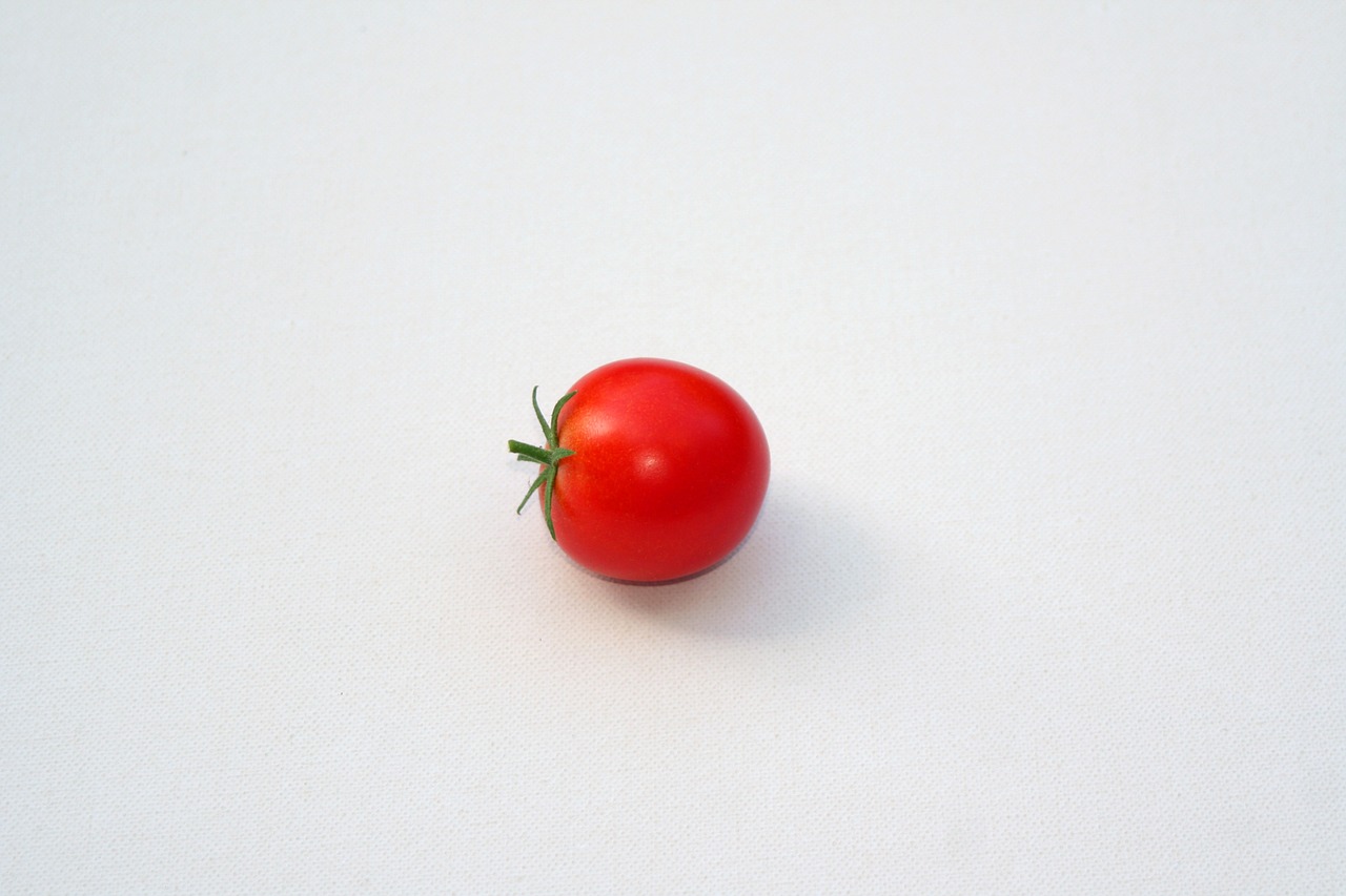 tomato salad summer free photo