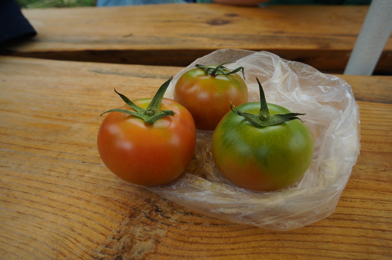fruit fresh tomatoes red free photo
