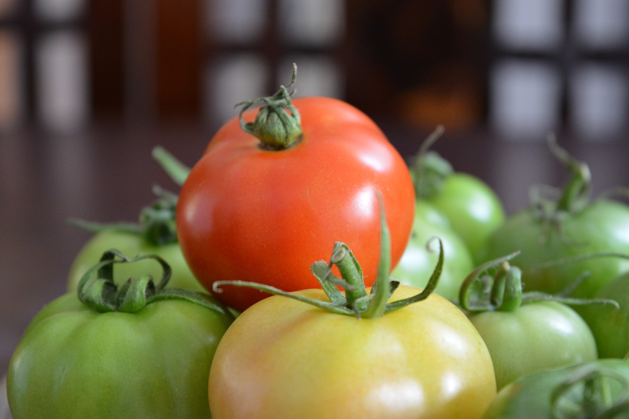 tomato fruits and vegetables fresh free photo