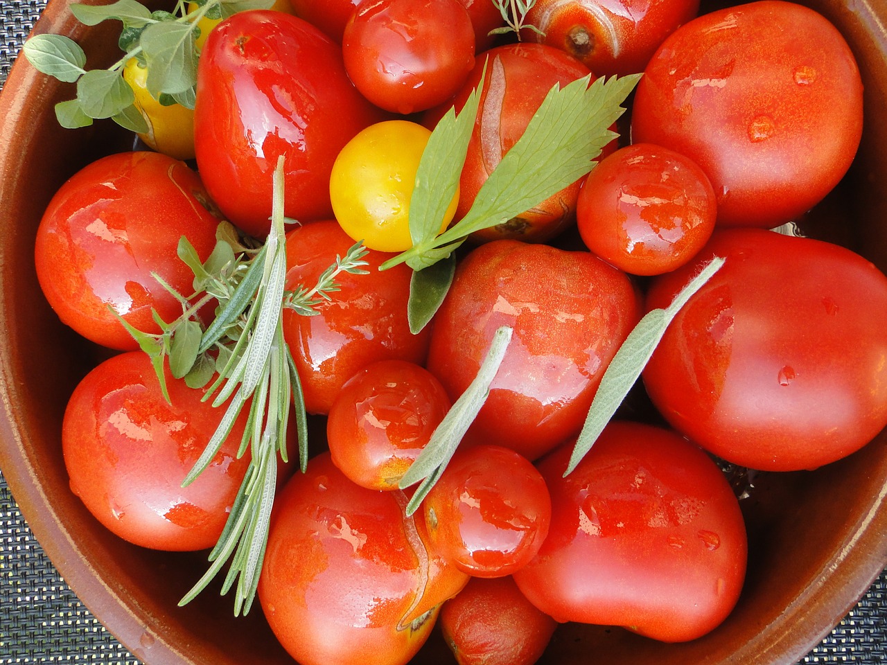 tomato harvest tomatoes herbs free photo