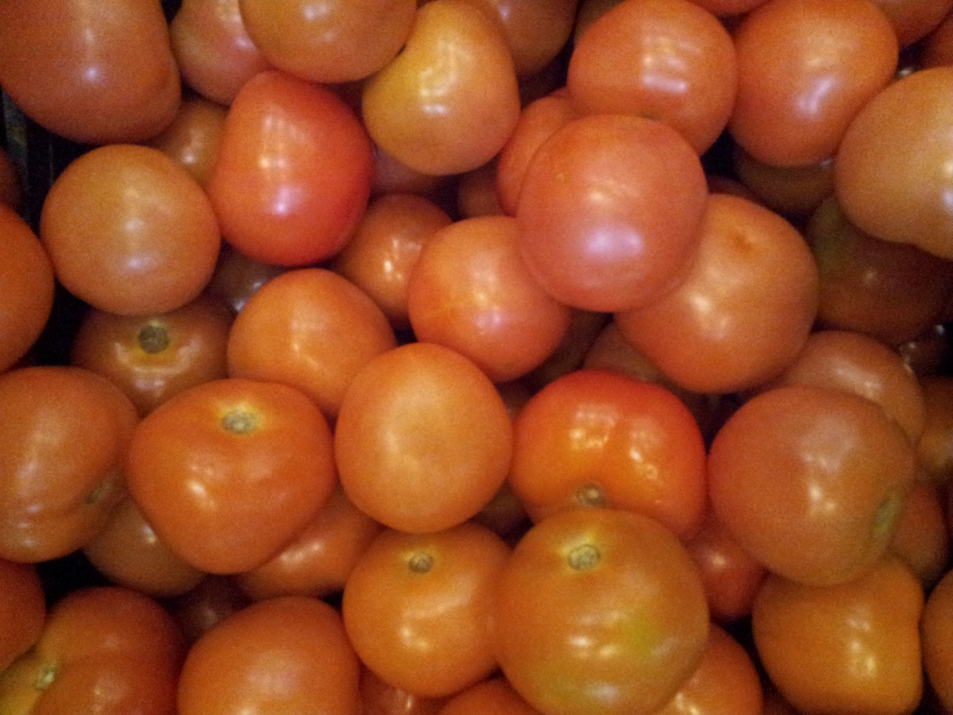 tomato box tomato in the box free photo