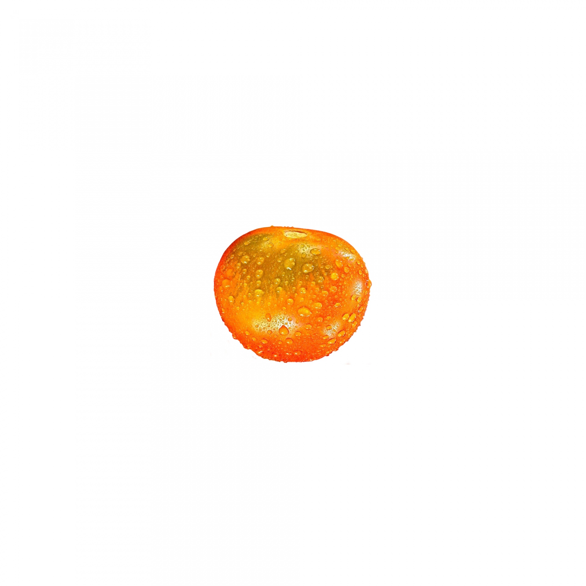 tomato isolated white background free photo