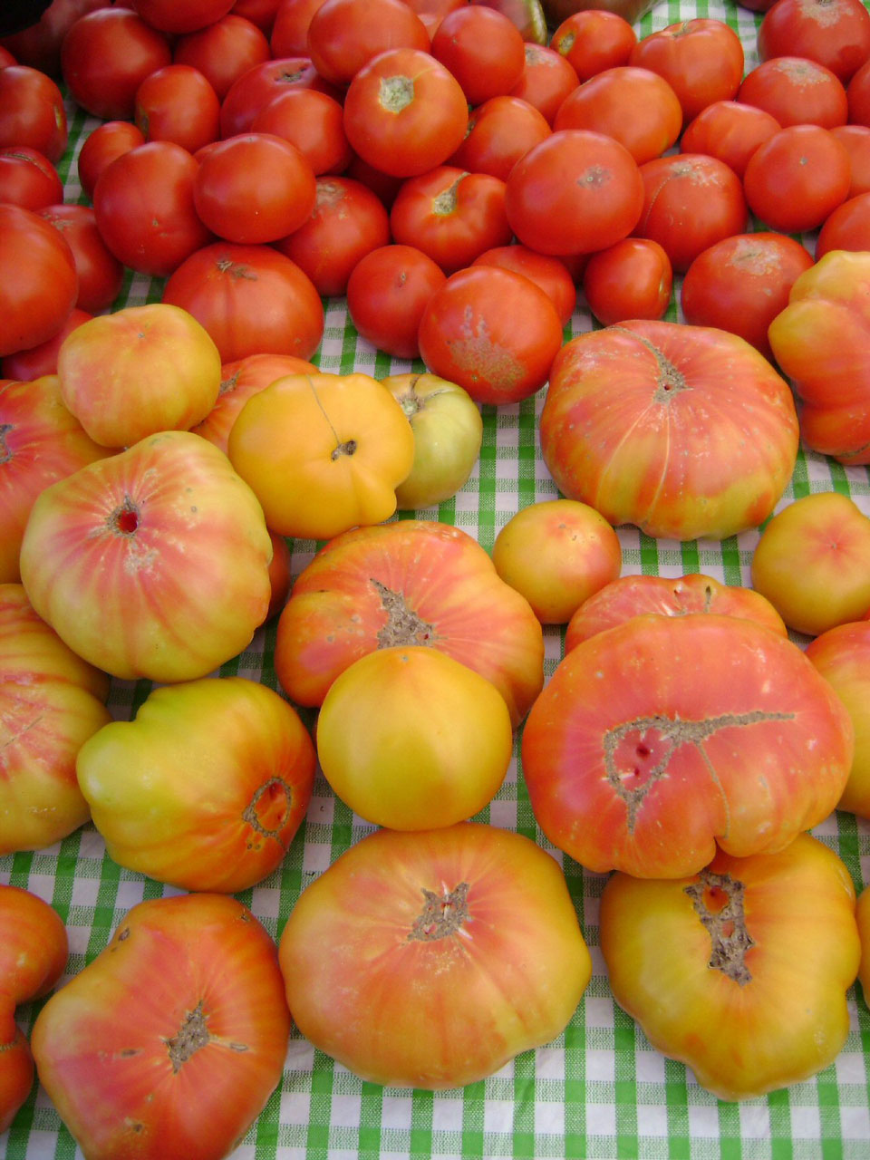 tomato tomato  still life free pictures free photo