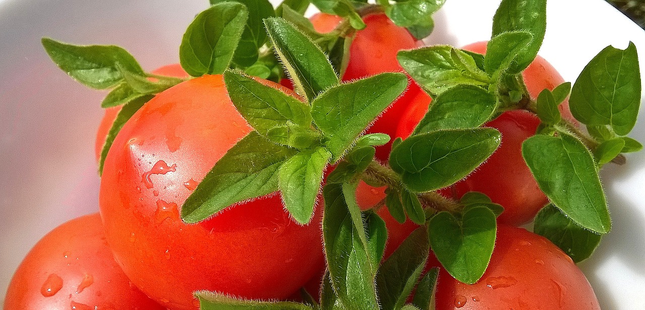 tomatoes basil fruit free photo