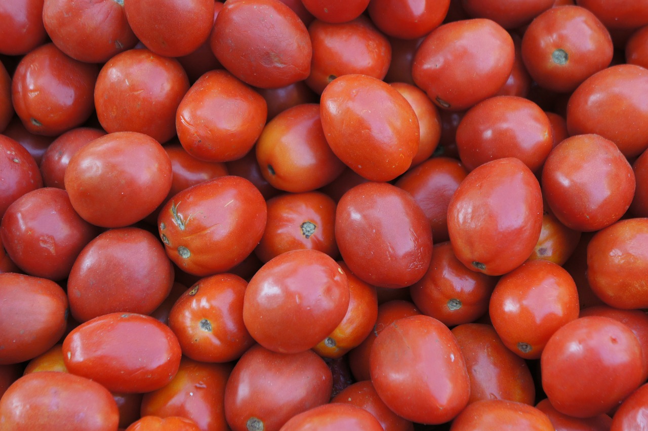 tomatoes market vegetables free photo