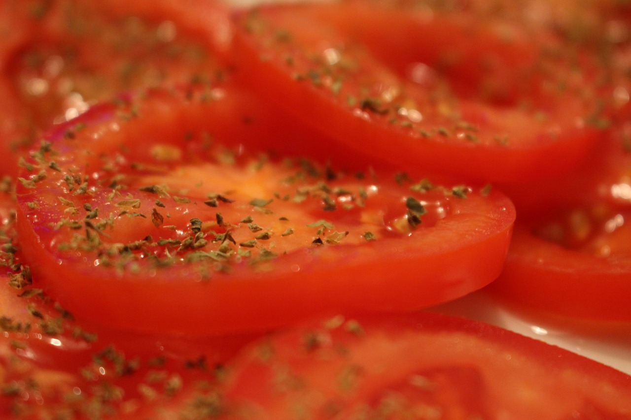 tomatoes appetizer origan free photo