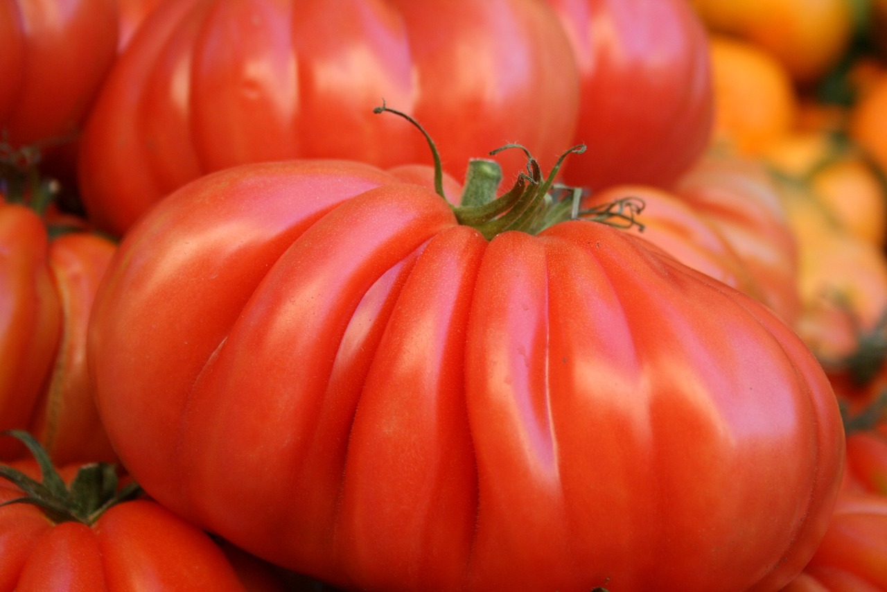 tomatoes fresh vegetables vegetarian free photo