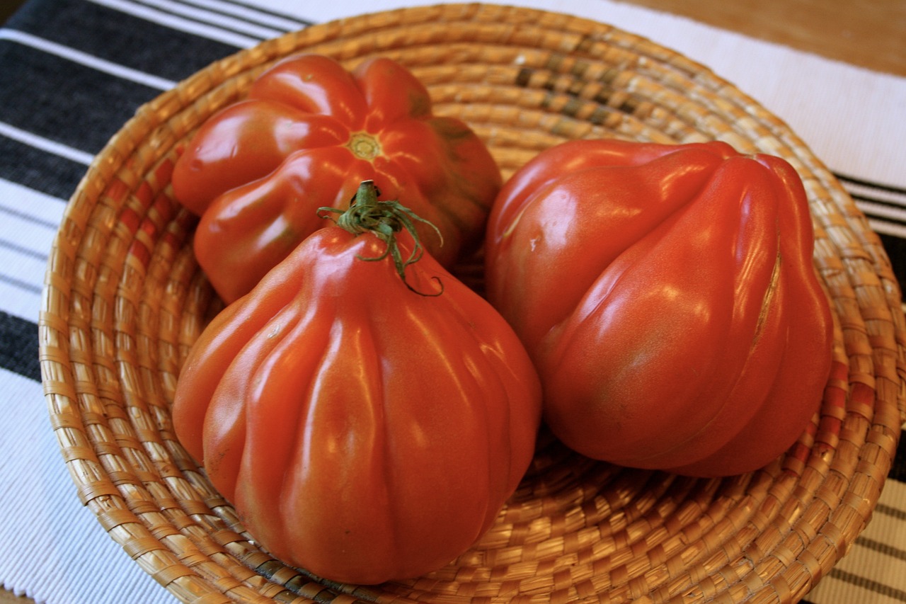 tomatoes vegetables red free photo