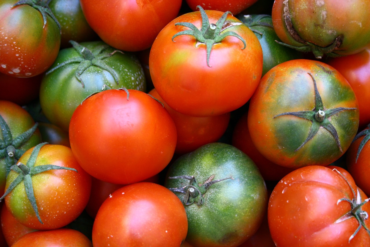 tomatoes tomato vegetables free photo